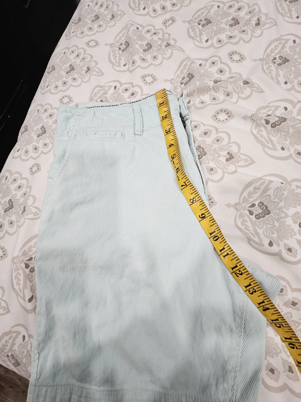 American Eagle Outfitters Mint Green Flat Front Men's Shorts